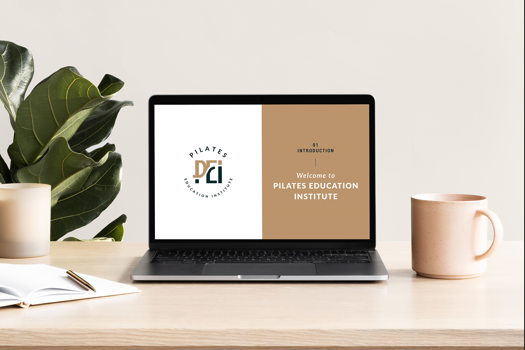 PILATES EDUCATION INSTITUTE IN INDIA intelligence overview